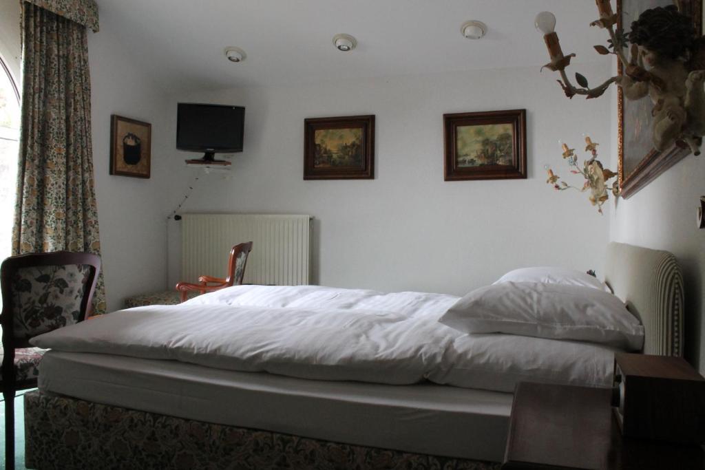 Hotel Elvezia Al Lago 3*
